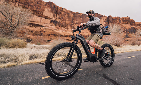 The Ultimate Guide to 1000W Hub Motor Electric Bikes