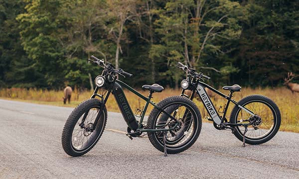Brawn fat tire ebike in the wild