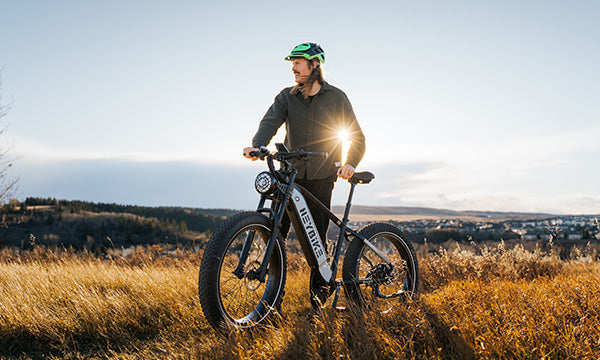 5 Best Budget Electric Bikes in Canada for 2024 Heybike CA