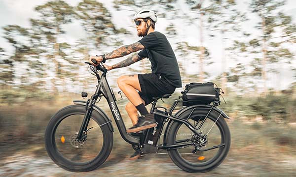 best e bikes for food delivery