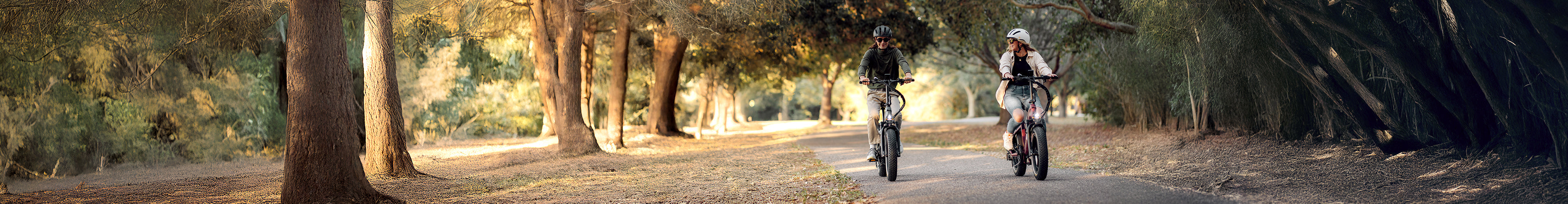 Golden Fall eBike Sale