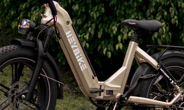 How Much Do Electric Bikes Cost?