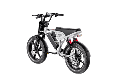 Heybike Titan
