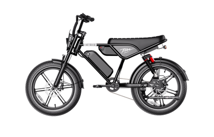 Heybike Titan